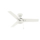 Cassius 44" Ceiling Fan (50262)