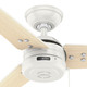 Cassius 44" Ceiling Fan (50262)
