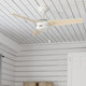 Cassius 44" Ceiling Fan (50262)