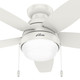 Lilliana 44" Ceiling Fan (51224)