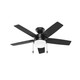 Hunter - 52486 - 44Ceiling Fan - Anisten - Matte Black