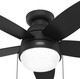 Lilliana 44" Ceiling Fan (52613)