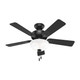 Hunter - 52790 - 44 Ceiling Fan - Swanson - Matte Black