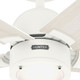 Erling 52" Ceiling Fan (52851)