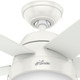 Anslee 46" Ceiling Fan (59266)