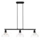 Carver Three Light Linear Pendant (0305-LP BLK-CLR)