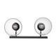 Remy Two Light Vanity (0314-BA2 BLK-CLR)