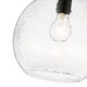 Ariella One Light Pendant (1094-S BLK-HCG)