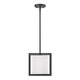 Manhattan One Light Mini Pendant (2243-M1L BLK-MWS)