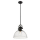 Hines One Light Pendant (3118-L BLK-SD)