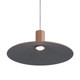 Faroe LED Pendant (3133-P20 CO-BK)