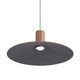 Faroe LED Pendant (3133-P20 CO-BK)