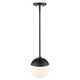 Dixon One Light Pendant (3218-S BLK-BLK)