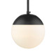 Dixon One Light Pendant (3218-S BLK-BLK)