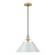 Golden - 3306-L BCB-DB - One Light Pendant - Orwell - Brushed Champagne Brass