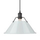 Orwell One Light Pendant (3306-L BLK-DB)