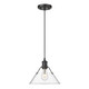 Golden - 3306-M BLK-CLR - One Light Pendant - Orwell - Matte Black