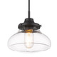 Nash One Light Pendant (3419-S BLK-CLR)