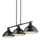 Duncan Three Light Linear Pendant (3602-3LP BLK-BLK)