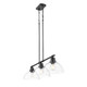 Duncan Three Light Linear Pendant (3602-3LP BLK-CLR)