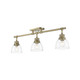 Duncan Three Light Semi-Flush Mount (3602-3SF AB-CLR)