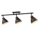 Duncan Three Light Semi-Flush Mount (3602-3SF RBZ-RBZ)