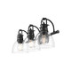 Duncan BCB Three Light Vanity (3602-BA3 BLK-CLR)