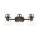 Duncan BCB Three Light Vanity (3602-BA3 RBZ-CLR)