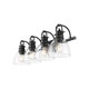 Duncan Four Light Vanity (3602-BA4 BLK-CLR)