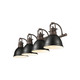 Duncan Four Light Vanity (3602-BA4 RBZ-BLK)