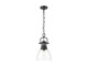 Golden - 3602-S BLK-CLR - One Light Pendant - Duncan - Matte Black