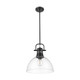 Duncan One Light Pendant (3604-L BLK-CLR)
