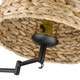 Eleanor One Light Swing Arm (3692-A1W BLK-WSG)