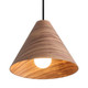 Golden - 3988-10 DWA - One Light Mini Pendant - Conique - Dark Walnut