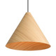 Golden - 3988-18 LWA - Two Light Pendant - Conique - Light Walnut
