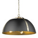 Aldrich Five Light Pendant (6928-5P AB-BLK)