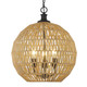 Florence Three Light Pendant (6933-3P BLK-NR)