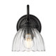 Audra One Light Wall Sconce (6952-1W BLK-CLR)