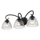 Audra Three Light Vanity (6952-BA3 BLK-CLR)