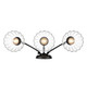 Audra Three Light Vanity (6952-BA3 BLK-CLR)