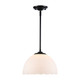Dorinda One Light Pendant (6954-M BLK-OP)