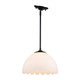 Dorinda One Light Pendant (6954-M BLK-OP)