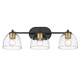 Roxie Three Light Bath Vanity (6958-BA3 BLK-BCB-CLR)