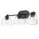 Roxie Three Light Bath Vanity (6958-BA3 BLK-BLK-CLR)