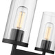 Winslett Five Light Chandelier (7011-5 BLK-CLR)