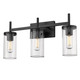 Winslett Three Light Bath Vanity (7011-BA3 BLK-CLR)