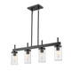 Winslett Four Light Linear Pendant (7011-LP BLK-CLR)