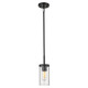 Winslett One Light Mini Pendant (7011-M1L BLK-CLR)