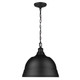 Rebel Two Light Pendant (7313-L BLK)
