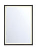 Eurofase - 48975-032 - LED Mirror - Artell - Brushed Black